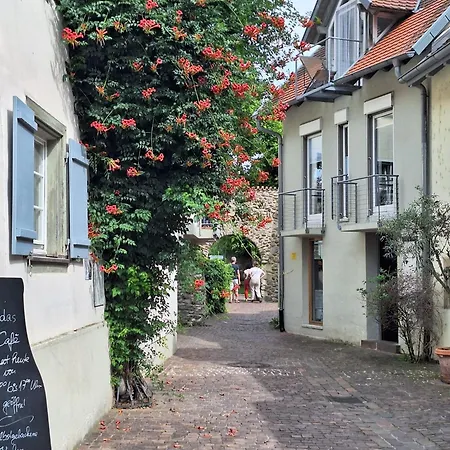 Apartamento überblick Radolfzell am Bodensee