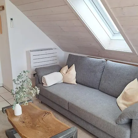 Apartman Ueberblick -altstadt & Rosengarten Radolfzell am Bodensee