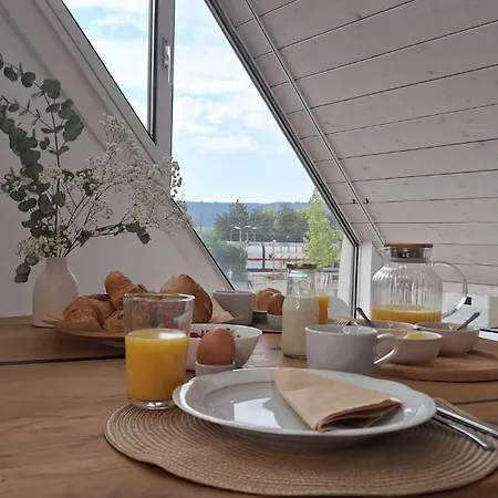 Apartman Ueberblick -altstadt & Rosengarten Radolfzell am Bodensee