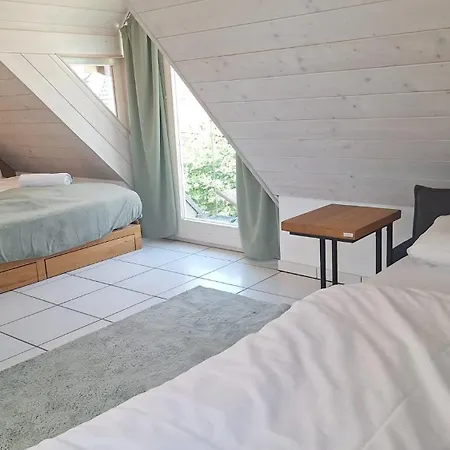 Ueberblick -altstadt & Rosengarten Apartman *